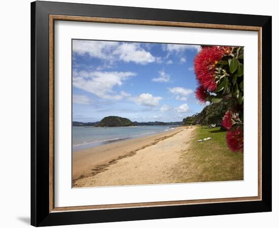 Pohutukawa Tree and Beach, Paihia, Bay of Islands, Northland, North Island, New Zealand-David Wall-Framed Photographic Print