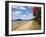 Pohutukawa Tree and Beach, Paihia, Bay of Islands, Northland, North Island, New Zealand-David Wall-Framed Photographic Print