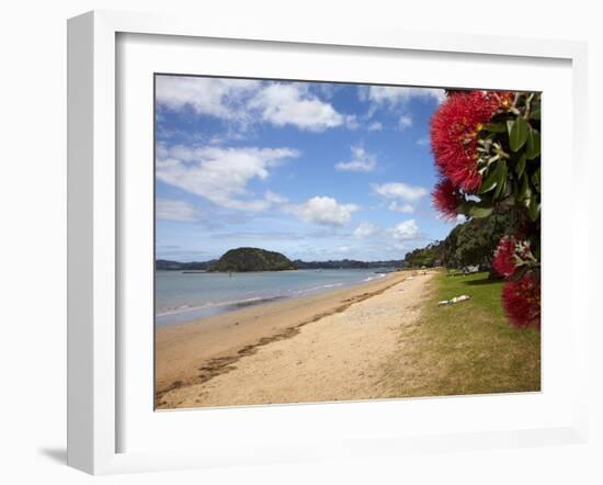 Pohutukawa Tree and Beach, Paihia, Bay of Islands, Northland, North Island, New Zealand-David Wall-Framed Photographic Print