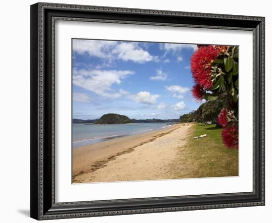 Pohutukawa Tree and Beach, Paihia, Bay of Islands, Northland, North Island, New Zealand-David Wall-Framed Photographic Print