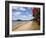 Pohutukawa Tree and Beach, Paihia, Bay of Islands, Northland, North Island, New Zealand-David Wall-Framed Photographic Print