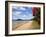 Pohutukawa Tree and Beach, Paihia, Bay of Islands, Northland, North Island, New Zealand-David Wall-Framed Photographic Print