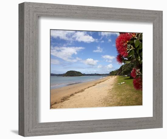 Pohutukawa Tree and Beach, Paihia, Bay of Islands, Northland, North Island, New Zealand-David Wall-Framed Photographic Print