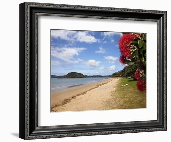 Pohutukawa Tree and Beach, Paihia, Bay of Islands, Northland, North Island, New Zealand-David Wall-Framed Photographic Print