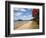 Pohutukawa Tree and Beach, Paihia, Bay of Islands, Northland, North Island, New Zealand-David Wall-Framed Photographic Print