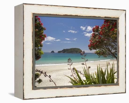 Pohutukawa Tree in Bloom and Hahei, Coromandel Peninsula, North Island, New Zealand-David Wall-Framed Premier Image Canvas