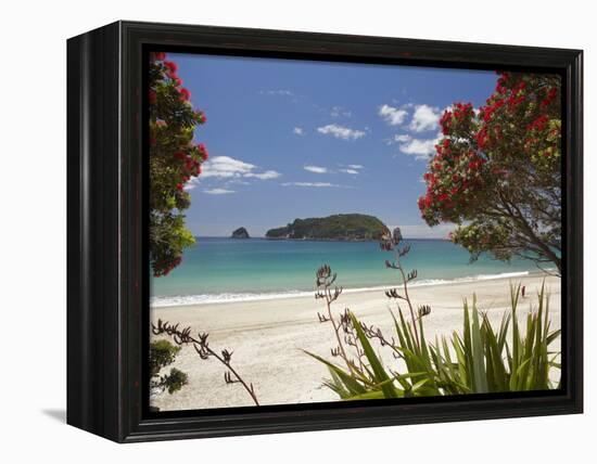 Pohutukawa Tree in Bloom and Hahei, Coromandel Peninsula, North Island, New Zealand-David Wall-Framed Premier Image Canvas