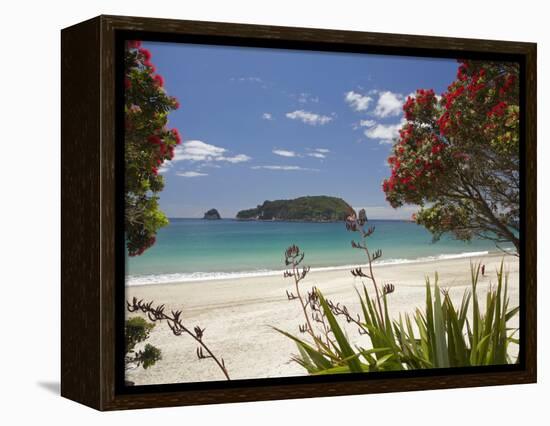 Pohutukawa Tree in Bloom and Hahei, Coromandel Peninsula, North Island, New Zealand-David Wall-Framed Premier Image Canvas