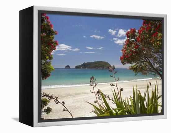 Pohutukawa Tree in Bloom and Hahei, Coromandel Peninsula, North Island, New Zealand-David Wall-Framed Premier Image Canvas