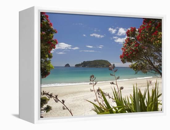 Pohutukawa Tree in Bloom and Hahei, Coromandel Peninsula, North Island, New Zealand-David Wall-Framed Premier Image Canvas