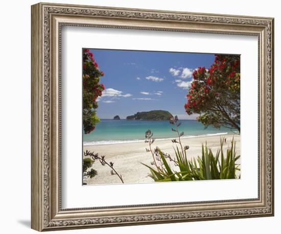 Pohutukawa Tree in Bloom and Hahei, Coromandel Peninsula, North Island, New Zealand-David Wall-Framed Premium Photographic Print