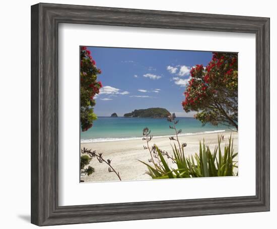 Pohutukawa Tree in Bloom and Hahei, Coromandel Peninsula, North Island, New Zealand-David Wall-Framed Photographic Print