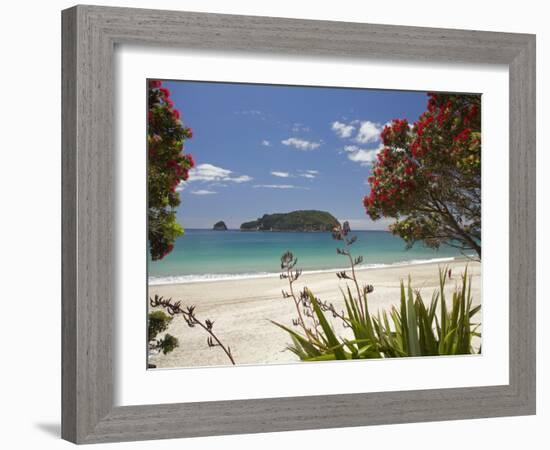 Pohutukawa Tree in Bloom and Hahei, Coromandel Peninsula, North Island, New Zealand-David Wall-Framed Photographic Print