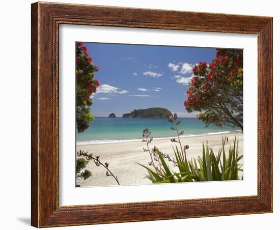 Pohutukawa Tree in Bloom and Hahei, Coromandel Peninsula, North Island, New Zealand-David Wall-Framed Photographic Print