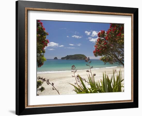 Pohutukawa Tree in Bloom and Hahei, Coromandel Peninsula, North Island, New Zealand-David Wall-Framed Photographic Print