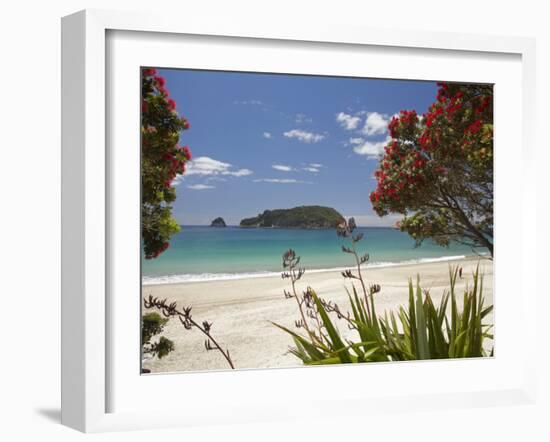 Pohutukawa Tree in Bloom and Hahei, Coromandel Peninsula, North Island, New Zealand-David Wall-Framed Photographic Print