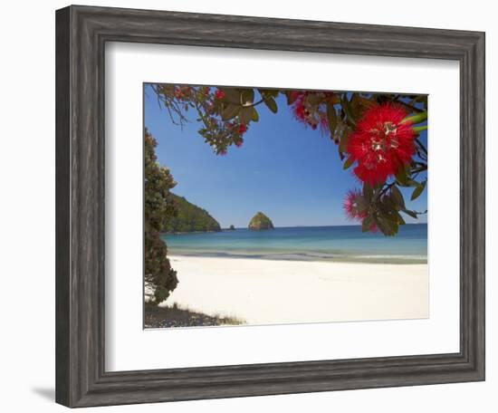 Pohutukawa Tree in Bloom and New Chums Beach, Coromandel Peninsula, North Island, New Zealand-David Wall-Framed Photographic Print