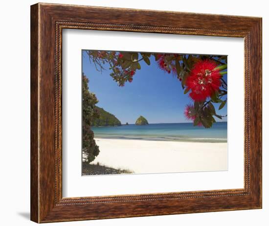 Pohutukawa Tree in Bloom and New Chums Beach, Coromandel Peninsula, North Island, New Zealand-David Wall-Framed Photographic Print