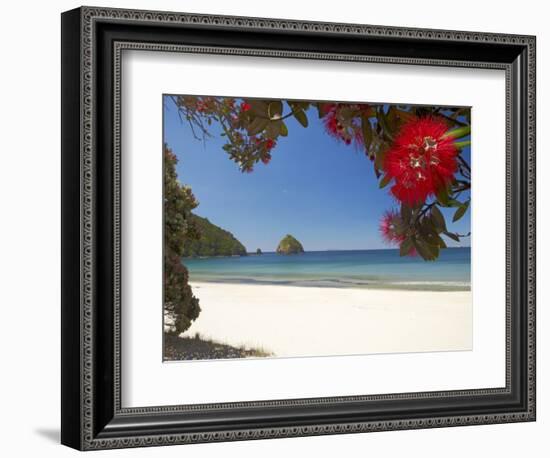 Pohutukawa Tree in Bloom and New Chums Beach, Coromandel Peninsula, North Island, New Zealand-David Wall-Framed Photographic Print