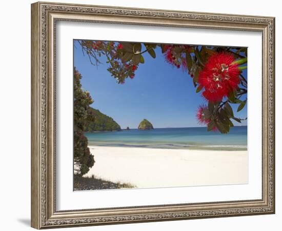 Pohutukawa Tree in Bloom and New Chums Beach, Coromandel Peninsula, North Island, New Zealand-David Wall-Framed Photographic Print