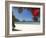 Pohutukawa Tree in Bloom and New Chums Beach, Coromandel Peninsula, North Island, New Zealand-David Wall-Framed Photographic Print