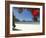 Pohutukawa Tree in Bloom and New Chums Beach, Coromandel Peninsula, North Island, New Zealand-David Wall-Framed Photographic Print