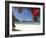 Pohutukawa Tree in Bloom and New Chums Beach, Coromandel Peninsula, North Island, New Zealand-David Wall-Framed Photographic Print