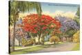 Stretched Canvas Print
