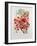 Poinciana Regia-Berthe Hoola Van Nooten-Framed Giclee Print