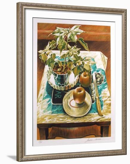 Poinsetta and Apples-Sandra Lawrence-Framed Limited Edition
