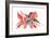 Poinsettia, 2003-Claudia Hutchins-Puechavy-Framed Giclee Print