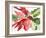 Poinsettia, 2003-Claudia Hutchins-Puechavy-Framed Giclee Print