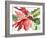 Poinsettia, 2003-Claudia Hutchins-Puechavy-Framed Giclee Print