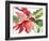 Poinsettia, 2003-Claudia Hutchins-Puechavy-Framed Giclee Print