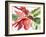 Poinsettia, 2003-Claudia Hutchins-Puechavy-Framed Giclee Print