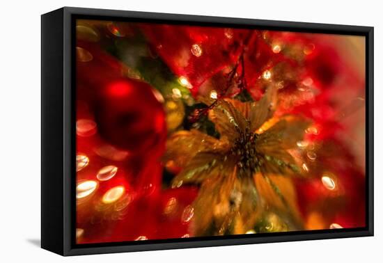 Poinsettia 2-Janet Slater-Framed Premier Image Canvas