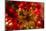 Poinsettia 2-Janet Slater-Mounted Photographic Print