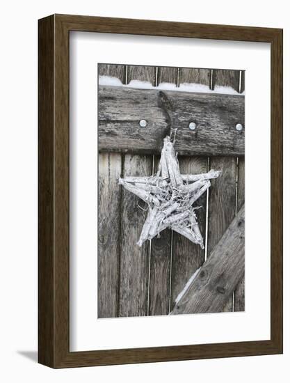 Poinsettia and Age Wooden Gate-Andrea Haase-Framed Photographic Print