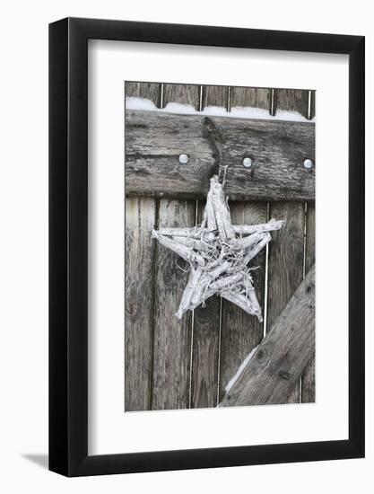 Poinsettia and Age Wooden Gate-Andrea Haase-Framed Photographic Print