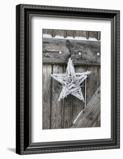 Poinsettia and Age Wooden Gate-Andrea Haase-Framed Photographic Print