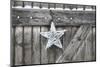 Poinsettia and Age Wooden Gate-Andrea Haase-Mounted Photographic Print