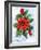 Poinsettia and Holly-Nell Hill-Framed Giclee Print