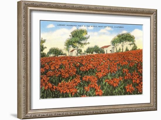 Poinsettia Field, Carlsbad, San Diego County, California-null-Framed Art Print