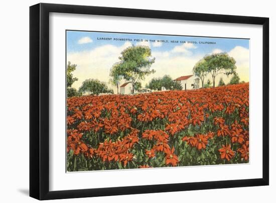 Poinsettia Field, Carlsbad, San Diego County, California-null-Framed Art Print