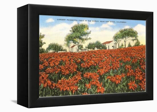 Poinsettia Field, Carlsbad, San Diego County, California-null-Framed Stretched Canvas