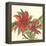 Poinsettia II-Chris Paschke-Framed Stretched Canvas