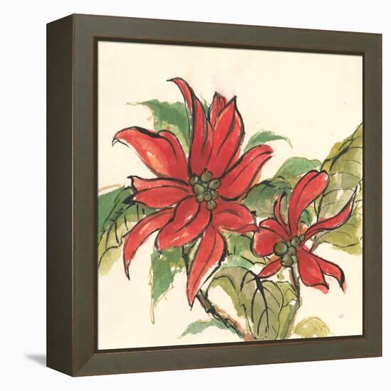 Poinsettia II-Chris Paschke-Framed Stretched Canvas