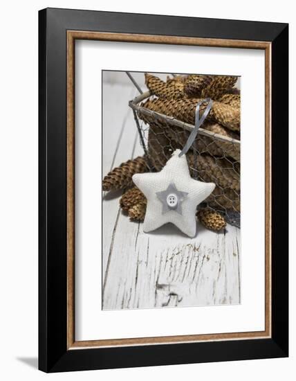 Poinsettia Made of Cord Material, Cone-Andrea Haase-Framed Photographic Print