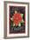 Poinsettia Merry Christmas Flag-Melinda Hipsher-Framed Giclee Print