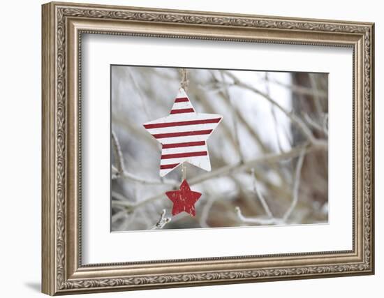 Poinsettia-Andrea Haase-Framed Photographic Print